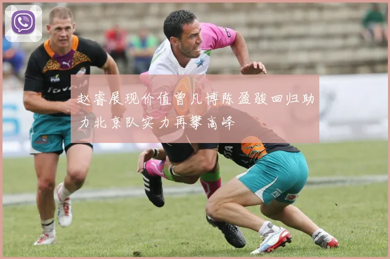 赵睿展现价值曾凡博陈盈骏回归助力北京队实力再攀高峰