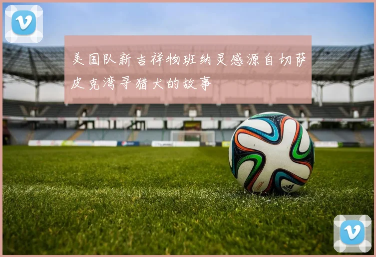 美国队新吉祥物班纳灵感源自切萨皮克湾寻猎犬的故事