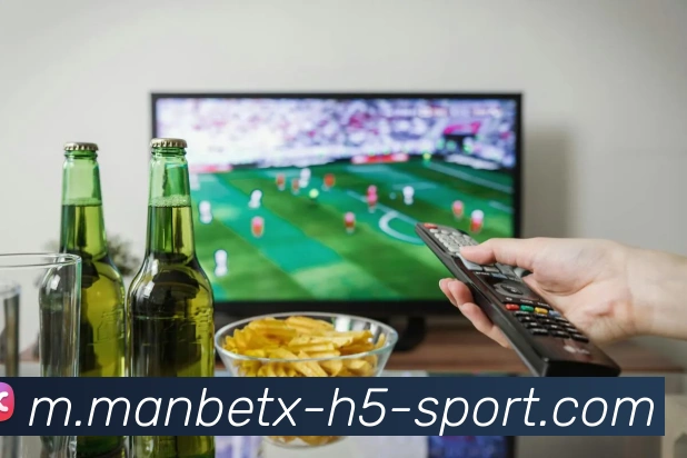 体育数据展示